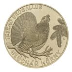 Slovakija 2024 5 euro kolekcinė moneta - Kurtinys