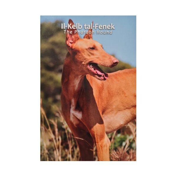 Malta 2 euro 2026 Pharaon hound folder
