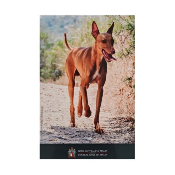 Malta 2 euro 2026 Pharaon hound folder